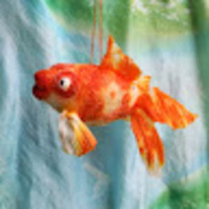 Meet your Posher, Carolyn